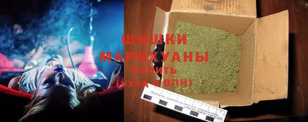 индика Арсеньев