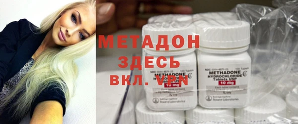 индика Арсеньев