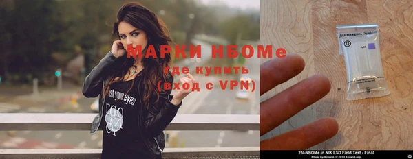 индика Арсеньев