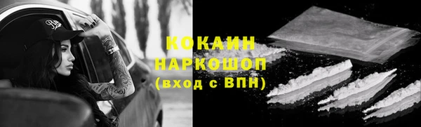 индика Арсеньев