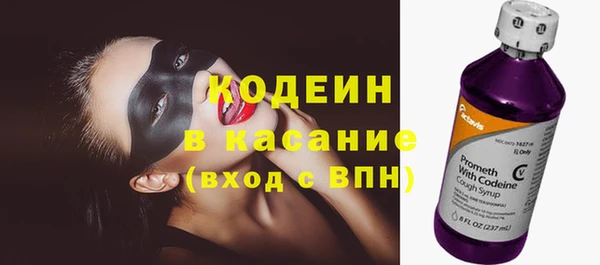 индика Арсеньев