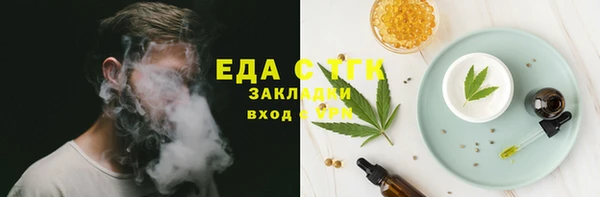 индика Арсеньев