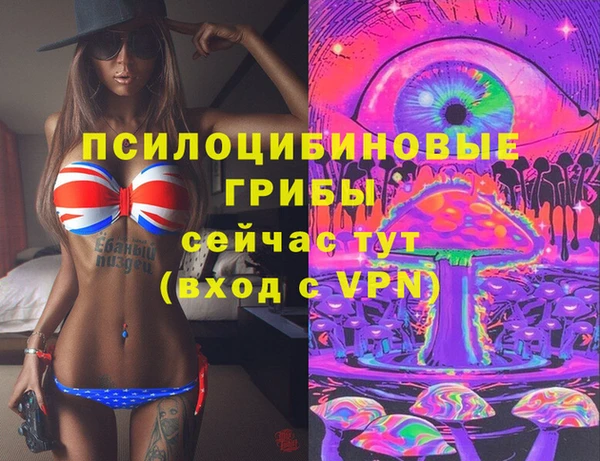 индика Арсеньев