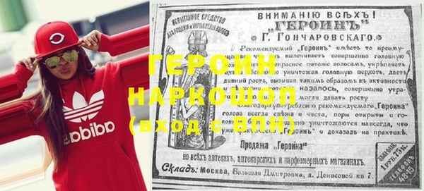 индика Арсеньев