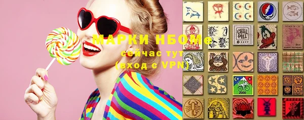 индика Арсеньев