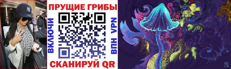 Галлюциногенные грибы Psilocybe  Козьмодемьянск 